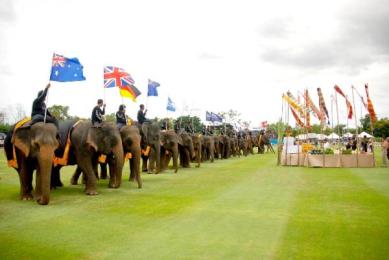2013-king-s-cup-elephant-polo-111925