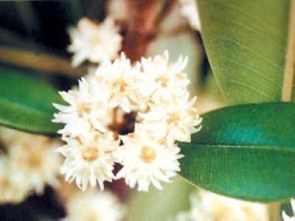 8669bagdi5875jg9bbg8a