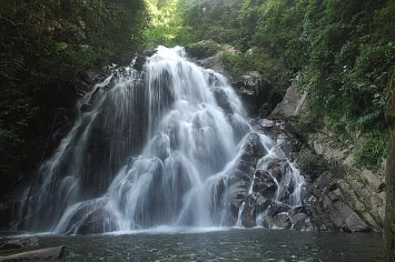 %e0%b8%9b%e0%b9%88%e0%b8%b2%e0%b8%a5%e0%b8%b0%e0%b8%ad%e0%b8%b9%e0%b9%88