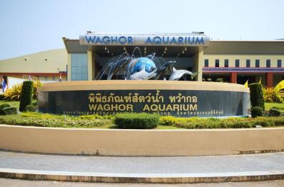 %e0%b8%ab%e0%b8%a7%e0%b9%89%e0%b8%b2%e0%b8%81%e0%b8%ad