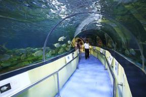 %e0%b8%ad%e0%b8%b8%e0%b9%82%e0%b8%a1%e0%b8%87%e0%b8%ab%e0%b8%a7%e0%b9%89%e0%b8%b2%e0%b8%81%e0%b8%ad