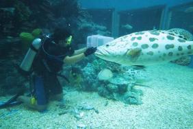 %e0%b9%83%e0%b8%ab%e0%b9%89%e0%b8%ad%e0%b8%b2%e0%b8%ab%e0%b8%b2%e0%b8%a3%e0%b8%ab%e0%b8%a7%e0%b9%89%e0%b8%b2%e0%b8%81%e0%b8%ad