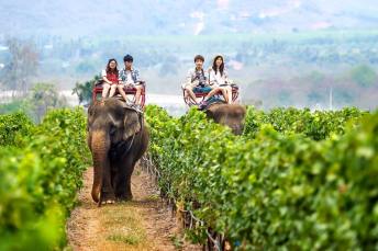 %e0%b9%84%e0%b8%a3%e0%b9%88%e0%b8%ad%e0%b8%87%e0%b8%b8%e0%b9%88%e0%b8%99%e0%b8%ab%e0%b8%b1%e0%b8%a7%e0%b8%ab%e0%b8%b4%e0%b8%99%e0%b8%ae%e0%b8%b4%e0%b8%a5%e0%b8%aa%e0%b9%8c-%e0%b8%a7%e0%b8%b4%e0%b8%99